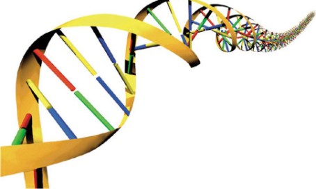 GIRO NA CIÊNCIA: Técnicas modernas facilitam exames de DNA para identificação criminal